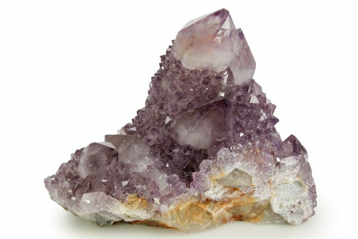 Deep-Purple Cactus Amethyst Crystal Cluster - South Africa #364582